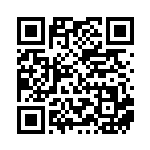 [XY-P]ボーマンダ（プロモ 124/389 無 ）[XY-P124] QRコード