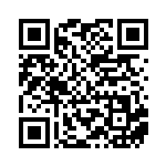 [XY-P]レックウザソウルリンク（プロモ 126/389 トレーナーズ グッズ ）[XY-P126] QRコード