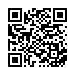 [XY-P]ガチゴラスEX（プロモ 133/389 竜 ）[XY-P133] QRコード