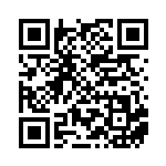 [XY-P]ふしぎなアメ（プロモ 136/389 トレーナーズ グッズ ）[XY-P136] QRコード