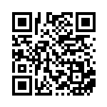 [XY-P]ブラッキー（プロモ 140/389 悪 ）[XY-P140] QRコード