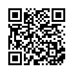 [XY-P]ニンフィア（プロモ 141/389 フェアリー ）[XY-P141] QRコード