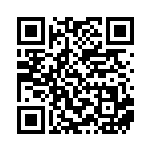 [XY-P]ビビヨン（プロモ 165/389 草 ）[XY-P165] QRコード