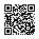 [XY-P]ニャオニクスEX（プロモ 196/389 超 ）[XY-P196] QRコード