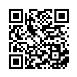 [XY-P]ポンチョを着たピカチュウ（プロモ 203/389 雷 ）[XY-P203] QRコード