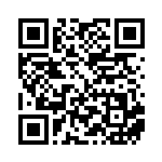 [XY-P]ポンチョを着たピカチュウ（プロモ 207/389 雷 ）[XY-P207] QRコード