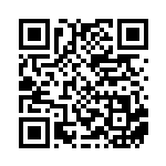 [XY-P]リザードンEX（プロモ 213/389 炎 ）[XY-P213] QRコード