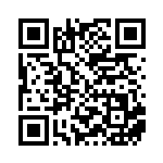 [XY-P]お公家さまと舞妓はんピカチュウ（プロモ 221/389 雷 ）[XY-P221] QRコード