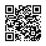 [XY-P]フーディンソウルリンク（プロモ 229/389 トレーナーズ グッズ ）[XY-P229] QRコード