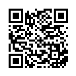 [XY-P]カメックスEX（プロモ 234/389 水 ）[XY-P234] QRコード