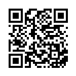 [XY-P]ピーピーマックス（プロモ 244/389 トレーナーズ グッズ ）[XY-P244] QRコード