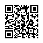 [XY-P]マスクド・ピカチュウ（プロモ 247/389 雷 ）[XY-P247] QRコード