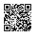 [XY-P]ボーマンダEX（プロモ 253/389 竜 ）[XY-P253] QRコード