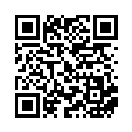 [XY-P]ボーマンダEX（プロモ 254/389 竜 ）[XY-P254] QRコード