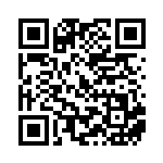 [XY-P]ボーマンダソウルリンク（プロモ 258/389 トレーナーズ ポケモンのどうぐ ）[XY-P258] QRコード