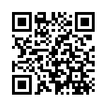 [XY-P]ヤドランEX（プロモ 262/389 水 ）[XY-P262] QRコード