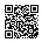 [XY-P]ヤドランソウルリンク（プロモ 265/389 トレーナーズ ポケモンのどうぐ ）[XY-P265] QRコード