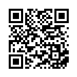 [XY-P]ドラミドロ（プロモ 288/389 竜 ）[XY-P288] QRコード