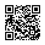 [XY-P]そらをとぶピカチュウ（プロモ 292/389 雷 ）[XY-P292] QRコード