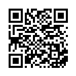 [XY-P]マリオピカチュウ（プロモ 293/389 雷 ）[XY-P293] QRコード