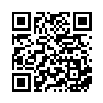 [XY-P]マリオピカチュウ（プロモ 294/389 雷 ）[XY-P294] QRコード