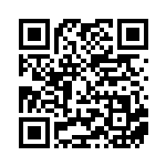 [XY-P]基本悪エネルギー（プロモ 306/389 エネルギー 悪 ）[XY-P306] QRコード