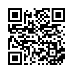 [XY-P]基本フェアリーエネルギー（プロモ 308/389 エネルギー フェアリー ）[XY-P308] QRコード