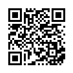 [XY-P]ビクトリーリング（プロモ 310/389 トレーナーズ グッズ ）[XY-P310] QRコード