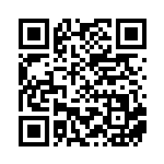 [XY-P]ビクトリーリング（プロモ 312/389 トレーナーズ グッズ ）[XY-P312] QRコード