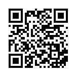 [XY-P]基本雷エネルギー（プロモ 314/389 エネルギー 雷 ）[XY-P314] QRコード