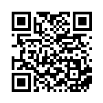 [XY-P]ピッチのピカチュウ（プロモ 317/389 雷 ）[XY-P317] QRコード