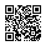 [XY-P]基本炎エネルギー（プロモ 323/389 エネルギー 炎 ）[XY-P323] QRコード