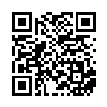 [XY-P]プロテクトキューブ（プロモ 325/389 トレーナーズ グッズ ）[XY-P325] QRコード