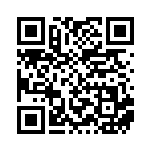 [XY-P]ビクトリーリング（プロモ 327/389 トレーナーズ グッズ ）[XY-P327] QRコード