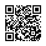 [XY-P]ポケモンカードジムメダル（プロモ 329/389 トレーナーズ グッズ ）[XY-P329] QRコード