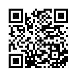 [XY-P]殿堂の書（プロモ 331/389 トレーナーズ グッズ ）[XY-P331] QRコード