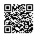 [XY-P]基本鋼エネルギー（プロモ 333/389 エネルギー 鋼 ）[XY-P333] QRコード