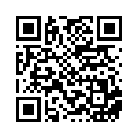 [XY-P]基本フェアリーエネルギー（プロモ 334/389 エネルギー フェアリー ）[XY-P334] QRコード