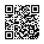 [XY-P]スーパーボール（プロモ 335/389 トレーナーズ グッズ ）[XY-P335] QRコード