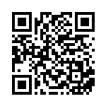 [XY-P]アブソルEX（プロモ 341/389 悪 ）[XY-P341] QRコード