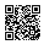 [XY-P]ビクトリーリング（プロモ 343/389 トレーナーズ グッズ ）[XY-P343] QRコード