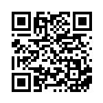 [XY-P]ビクトリーリング（プロモ 344/389 トレーナーズ グッズ ）[XY-P344] QRコード