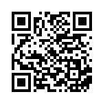 [XY-P]メガターボ（プロモ 371/389 トレーナーズ グッズ ）[XY-P371] QRコード