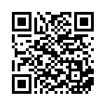 [XY-P]ビクトリーリング（プロモ 373/389 トレーナーズ グッズ ）[XY-P373] QRコード