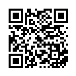 [XY-P]ビクトリーリング（プロモ 374/389 トレーナーズ グッズ ）[XY-P374] QRコード