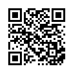 [XY-P]ヤミラミ（プロモ 378/389 悪 ）[XY-P378] QRコード