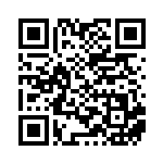 [XY-P]ダブルドラゴンエネルギー（プロモ 391/389 エネルギー 竜 ）[XY-P391] QRコード