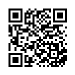 [XY-P]ビクトリーリング（プロモ 395/389 トレーナーズ グッズ ）[XY-P395] QRコード