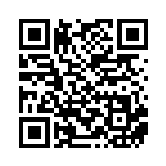 [XY-P]ビクトリーリング（プロモ 397/389 トレーナーズ グッズ ）[XY-P397] QRコード