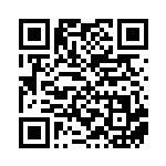 [XY-P]ビクトリーリング（プロモ 399/389 トレーナーズ グッズ ）[XY-P399] QRコード